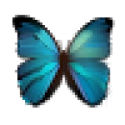 Aviary