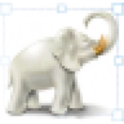 Image Tuner