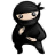 System Ninja