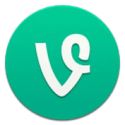 Vine
